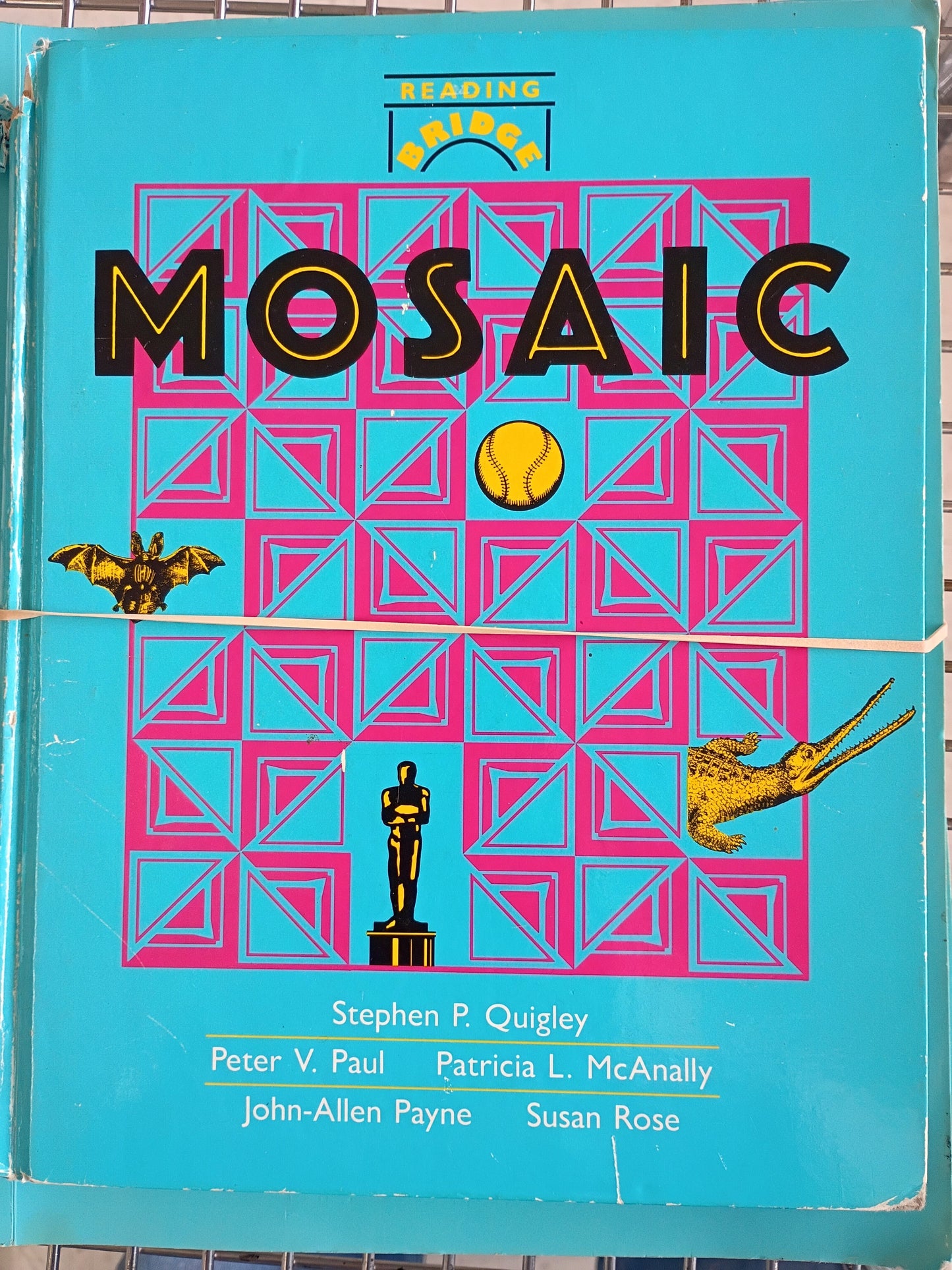 Mosaic Level 1 book 1 (Reading Bridge) - set of 3