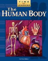 The Human Body