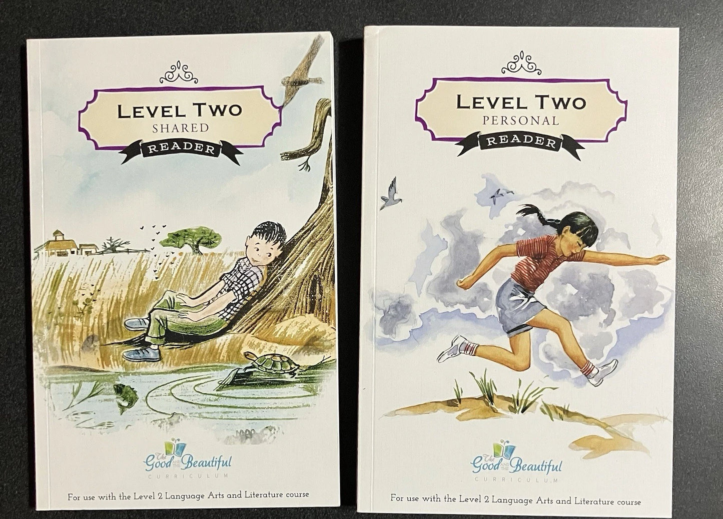 Level 2 - Set of 2 Readers