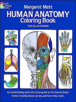Human Anatomy Coloring Book