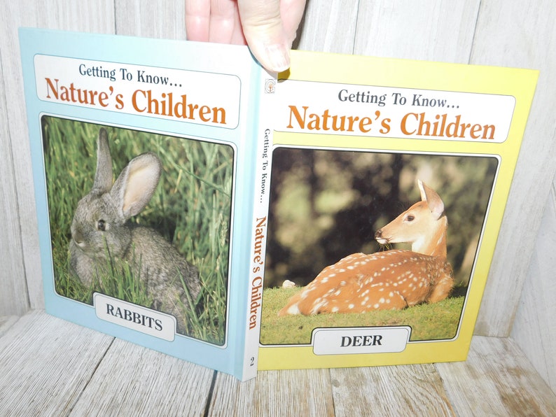 Getting to Know.... Nature's Children - Deer and Rabbits