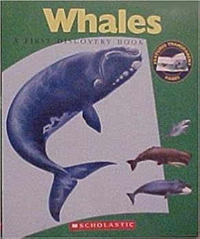 Whales - A First Discovery Book