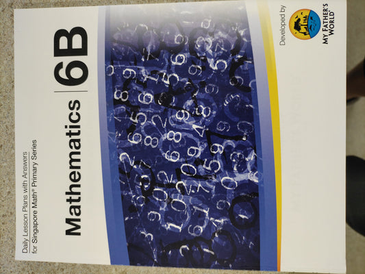 Primary Mathematics 6B - Lesson Plans