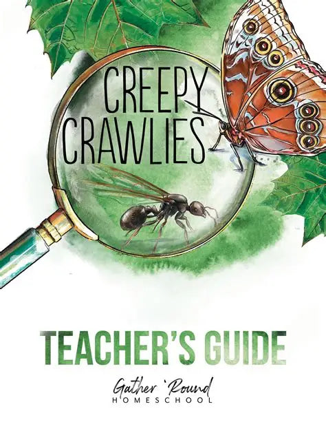 Creepy Crawlies - Teachers Guide