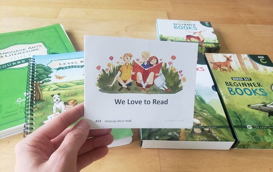 Level 1 - Mini Books (New)