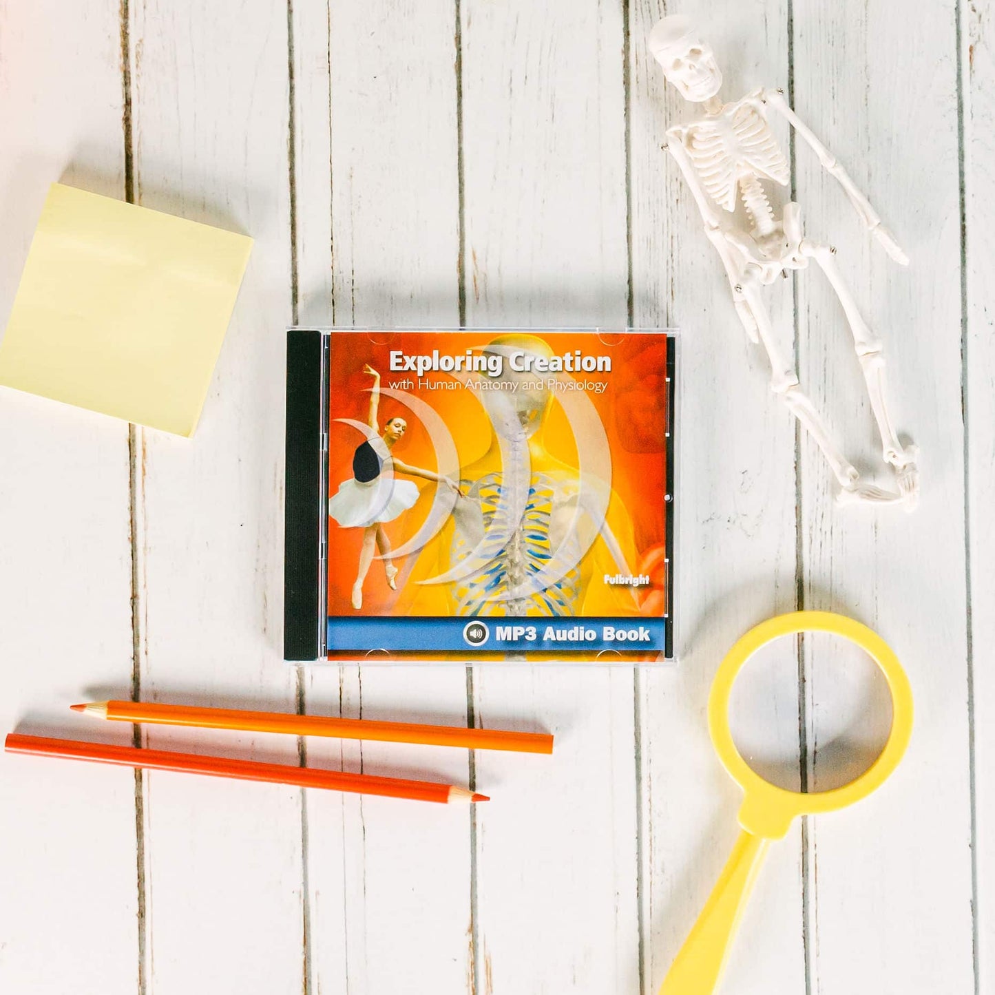 Exploring Creation with Human Anatomy and Physiology - MP3 Audio Book