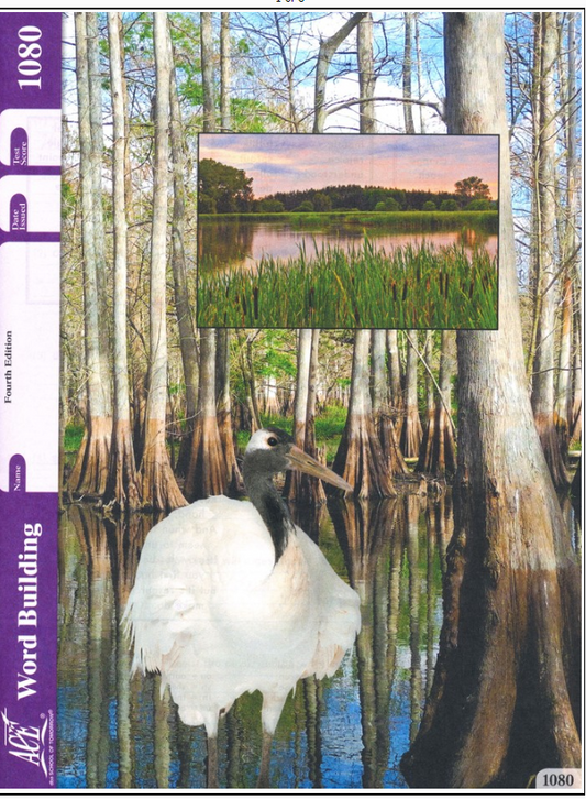 Word Building PACE- set of 7